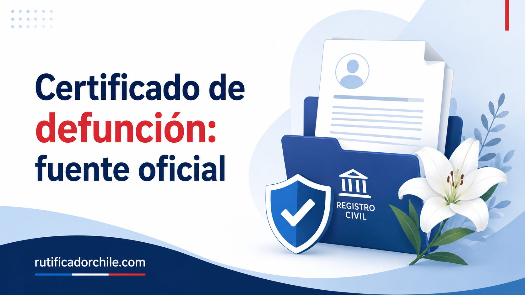 Tipos de certificado de defunción