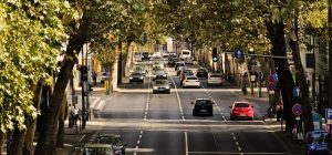 Verificar licencia de conducir con el RUT