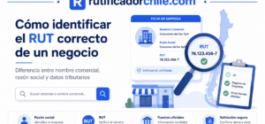Buscar el RUT de una empresa por su nombre
