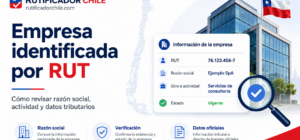 Consultar una empresa por su RUT en Chile