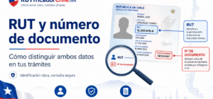 Número de documento y RUT